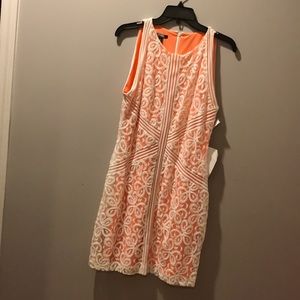 Muse Lace Dress